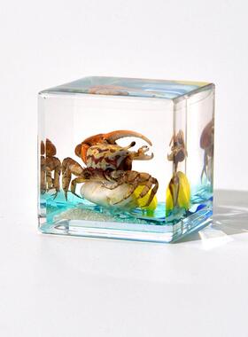 昆虫海洋微景观树脂摆件 儿童科普自然认知昆虫生活拟态场景摆件
