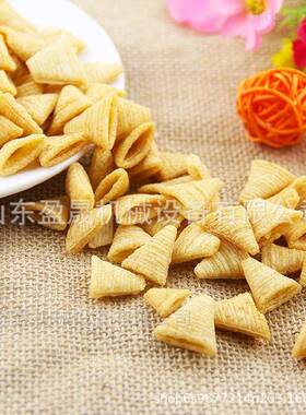 油炸食品生产线小型锅巴膨化机小麻花膨化机双螺杆膨化机配件