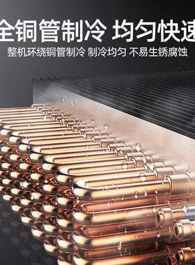 商用双门插盘柜低温冷冻双温烘焙风冷无霜冷藏柜不锈钢烘焙冰箱