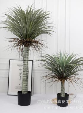 北欧网红仿真植物红铁树龙血铁室内仿真植物美洲龙舌兰绿植摆件