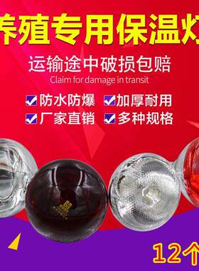 猪场保温灯小鸡保暖养殖场专用仔猪烤灯发热养鸡加热育雏取暖灯泡