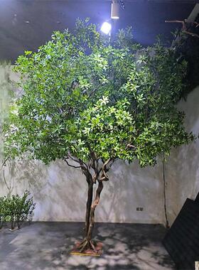 仿真马醉木人造景观假绿植庭院别墅茶室商场装饰假马醉木树摆件