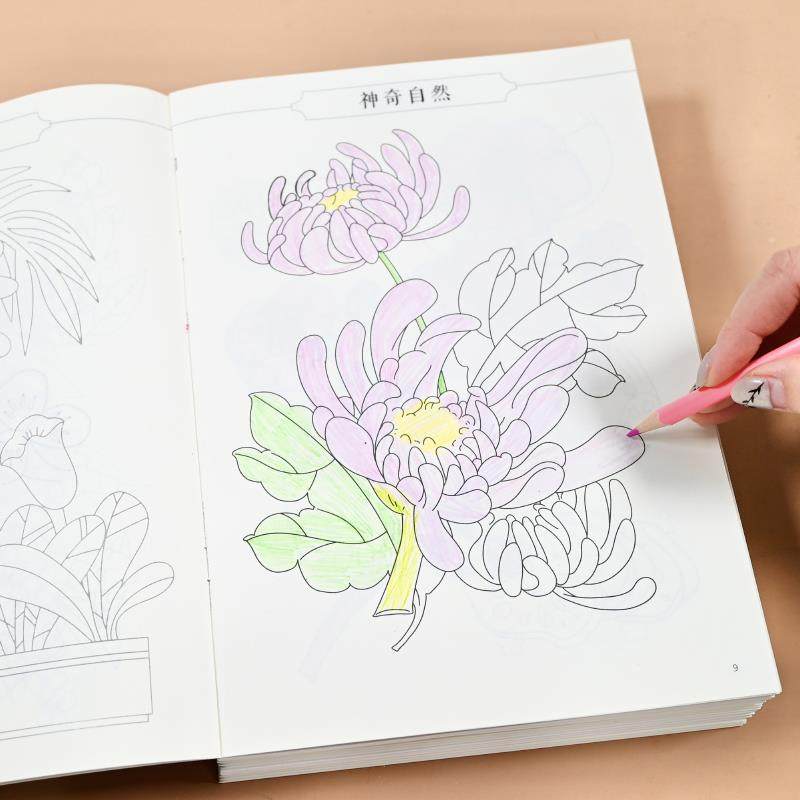 儿童描摹画 画本简笔画 画美少女古风人物漫画 画涂色本线 线稿临,淘宝优惠券,粉丝福利购,淘宝优惠卷