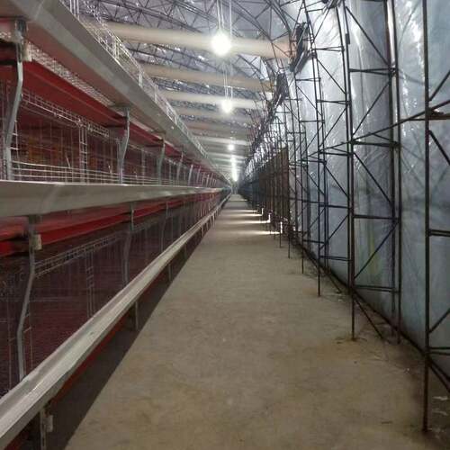鸡笼肉鸡笼全自动半自动立式肉鸡笼养殖场用自动肉鸡笼H型肉鸡笼 - 图0