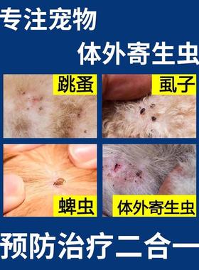 狗狗去身上蜱虫药跳蚤体外驱虫喷雾猫狗通用清除杀虫剂户外专用药