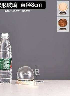 厂家跨境永生干花玻璃装饰摆件