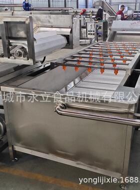全自动果蔬海鲜气泡清洗机喷淋式不锈钢清洗设备预制菜加工设备