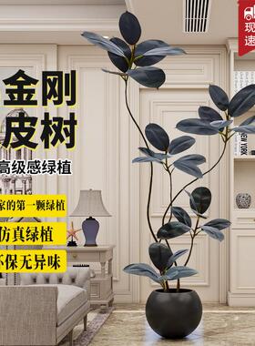 黑金刚橡皮树彷真绿色植物大型室内客厅轻奢装饰落地摆件假盆栽彷