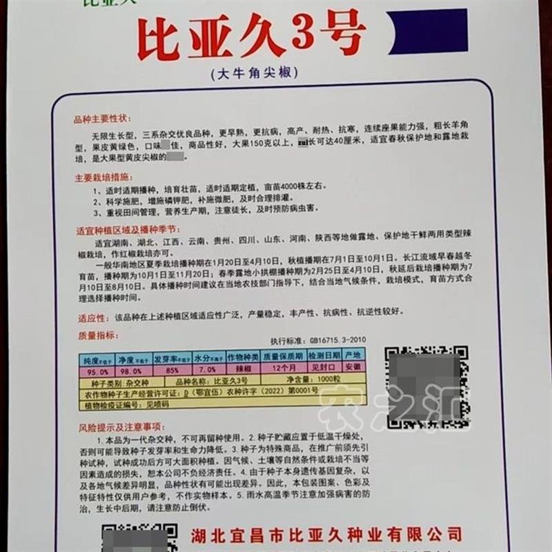 耐热耐寒特大黄皮尖椒种子 大肉辣椒种籽 仁川三号黄皮牛角椒种子 - 图1