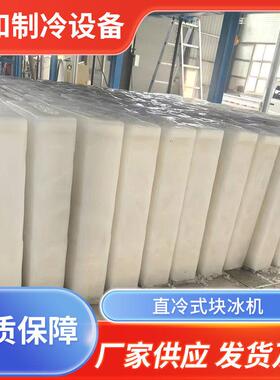 山东盛和100kg冰块直冷式块冰机工业制冰设备大型制冰机