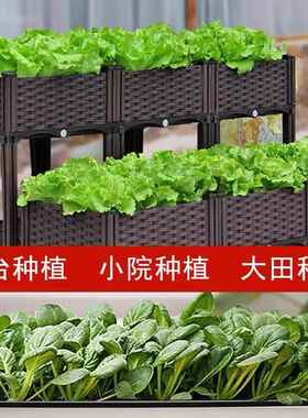 黄瓜种子大全水果黄瓜绿皮蔬菜种籽香菜小葱种植阳台盆栽四季播种