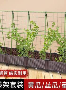 爬藤架四季豆架杆黄瓜豆角支撑杆蔬菜瓜棚搭棚架种菜花卉植物架子
