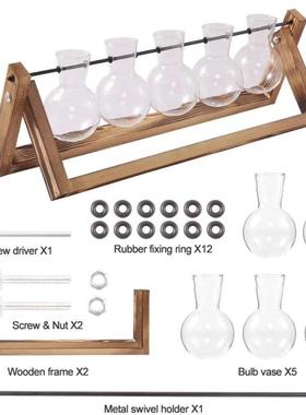 木架水培绿萝玻璃花瓶容器客厅办公室桌面摆件装饰品五瓶桌面艺术