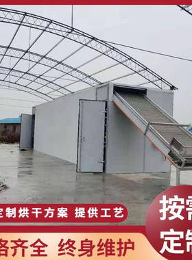生物质颗粒单层多层网带式烘干机食品果蔬中药材全自动连续干燥机