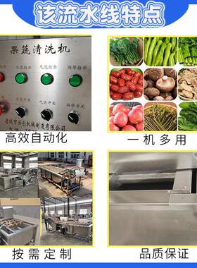定制全自动果蔬清洗机净菜加工清洗设备压喷淋预制菜清洗流水线
