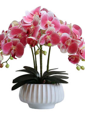 现代家居仿真花蝴蝶兰盆景摆件高档客厅电视柜花艺盆栽装饰花假花