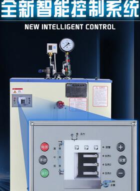 商用电加热蒸气机48KW免报检 工业蒸汽产生器 锅炉高温高压节能型