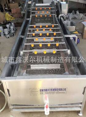 果蔬气泡清洗机多功能大姜清洗机连续式高压喷淋药材清洗设备