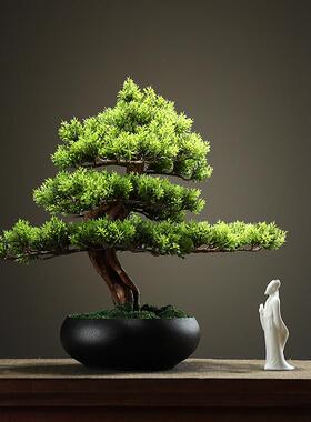 龙牙草
