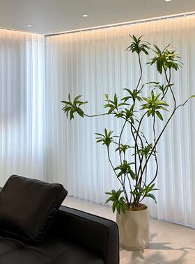 海虹景品百合竹彷真绿色植物室内客厅彷生假树高端轻奢花大型落地
