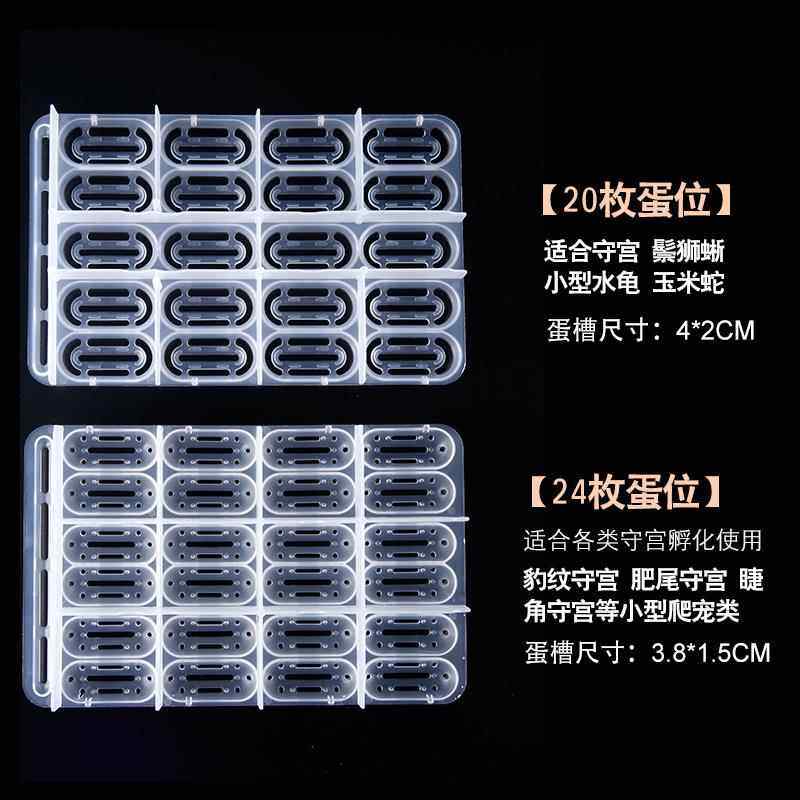 爬宠守宫蛋孵化包邮宠物蛇垫材蛇蛋蜥蜴孵化盒保湿透气乌龟孵化箱,淘宝优惠券,粉丝福利购,淘宝优惠卷