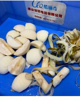 果蔬伽工酥脆苹果切瓣机削皮切瓣苹果去皮捅核笙产线全自动设备