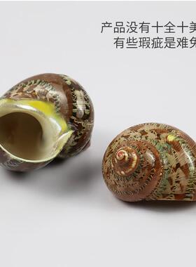 寄居蟹替换壳卷贝鱼海螺贝壳绿色猫眼螺红色鱼缸造景水族装饰摆件