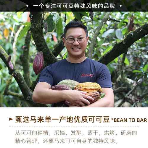 马来西亚BENNS贝纳丝黑巧克力 99.9%纯黑巧烘培健身（代可可脂） - 图2