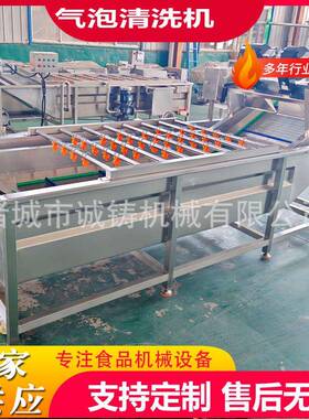 商用枇杷洗果机荔枝去污除杂清洗机304不锈钢莲雾气泡清洗机设备