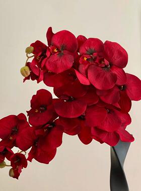 红色蝴蝶兰仿真花级感逼真陶瓷花摆设客厅餐桌插花花艺装饰品