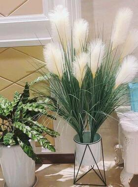 模拟芦苇草客厅装饰无障碍豪华室内装饰家具狗尾草地板站立的绿色