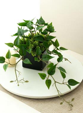 仿真绿萝假花室内室外装饰摆件塑料盆栽仿真花草植物客厅摆放花艺
