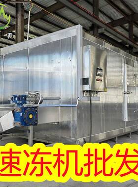 旺源不锈钢低温速冻设备 果蔬切割分选流水线 青蚕豆冷冻机器