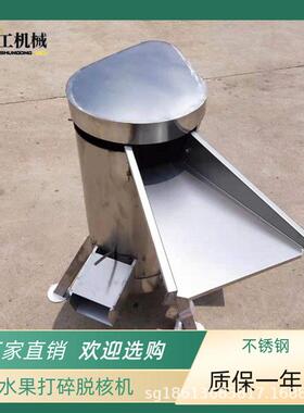 水果粉碎自动去核机 不锈钢大型果蔬脱核机 樱桃青梅打碎去核设备
