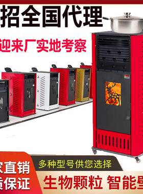 2025新款生物质颗粒取暖炉家用木材颗粒两用大棚养殖无烟采暖炉子