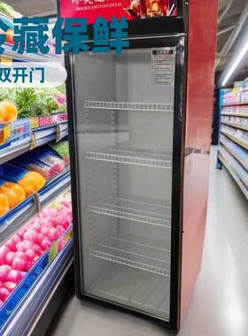 红色门酒吧冰柜商用啤酒冷柜双门饮料冷藏柜保鲜展示柜超市冰箱