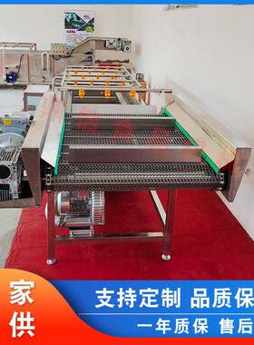 大型橘子清洗机 玉米清洗生产线 气泡粘玉米棒清洗机  鼎信机械