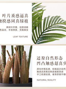 散尾葵彷真绿色植物高级热带植物盆栽室内凤尾竹彷生大型假树装饰