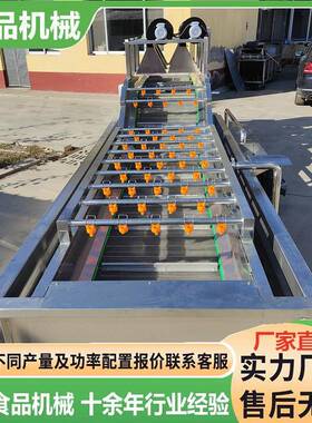 包装袋气泡清洗机多功能洗菜去农残清洗设备高效304不锈钢板材