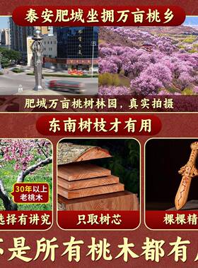 桃木剑婴儿真正的桃木挂件随身天师紫薇讳七星剑真品儿童宝宝木雕