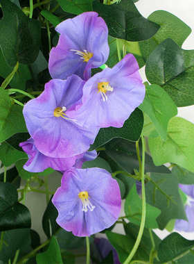 仿真绿植壁挂吊篮装饰牵牛花塑料喇叭花假花艺室内造景遮挡仿真花