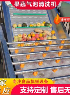 商用果蔬气泡清洗机百香果清洗加工设备砂糖橘鼓泡翻浪喷淋清洗机