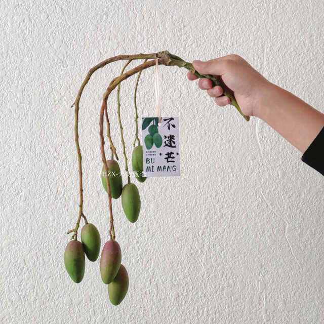 Fresh mango cut branches without getting confused Office desktop living room ornaments Flower arrangement Fruit flowers