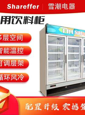 雪潮电器牛奶保鲜商用冷柜超市便利店双门三门四门饮料柜冷藏柜
