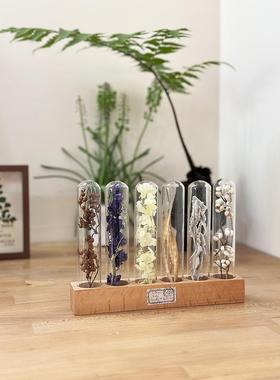 玻璃试管干花果实植物标本实木底座干花装饰桌面客厅摆件送闺蜜