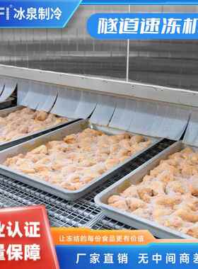 隧道式速冻机设备速冻小酥肉速冻油炸食品大型速冻设备生产厂家