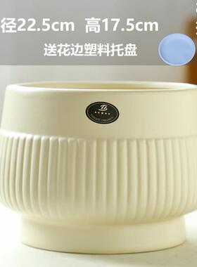 发财树金钱树代发批发陶瓷花瓶