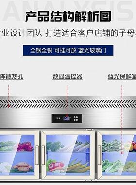 商用挂墙冰箱冷藏冷冻展示柜吊柜悬挂式冰柜嵌入式保鲜工作台