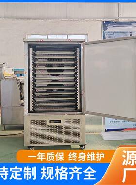 超低温急速冷冻柜 小型海参八爪鱼速冻柜 海鲜肉制品急速冷冻设备