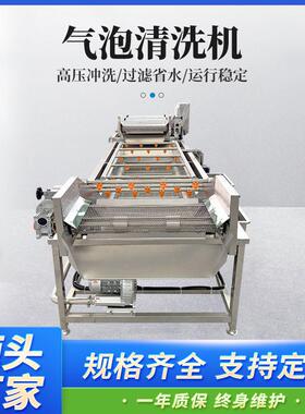 果蔬农残留清洗机 大枣小龙虾去泥沙设备 全自动气泡清洗流水线